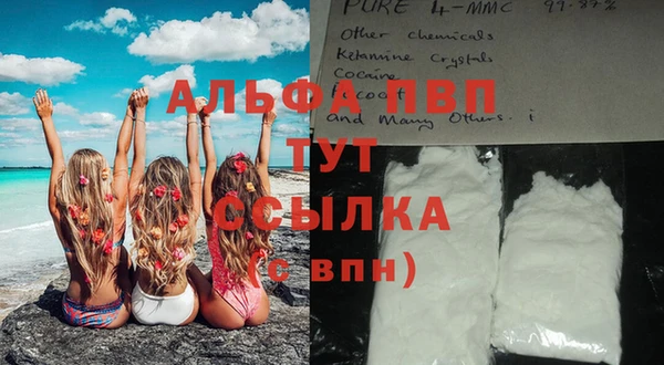 гидра Алексин