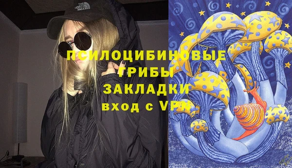 2c-b Алексеевка