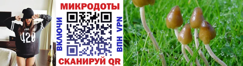 Купить закладки Гаврилов Посад Псилоцибиновые грибы ЛСД